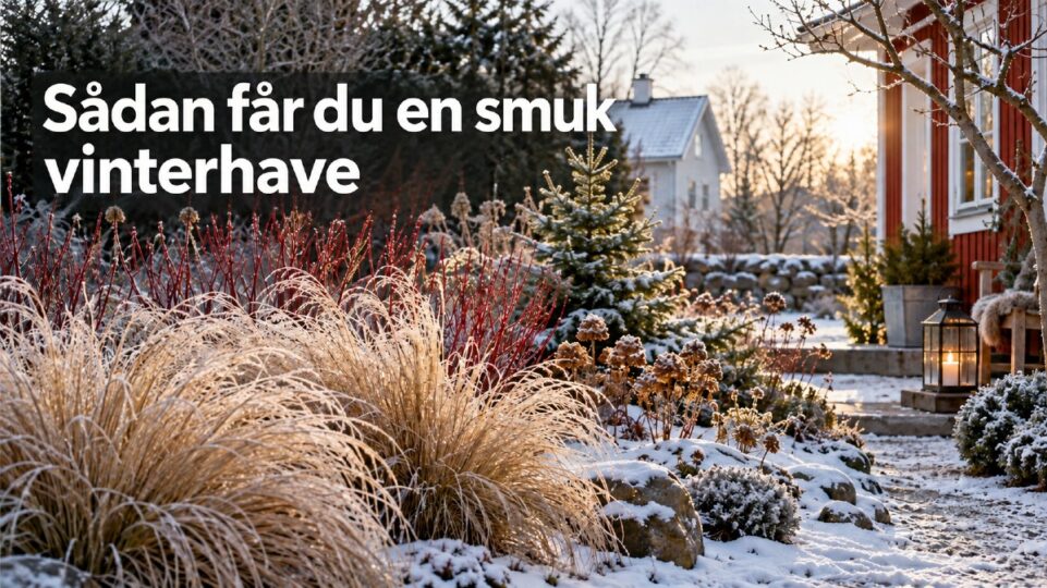 får man en smuk vinterhave